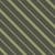 Green Olive Stripe